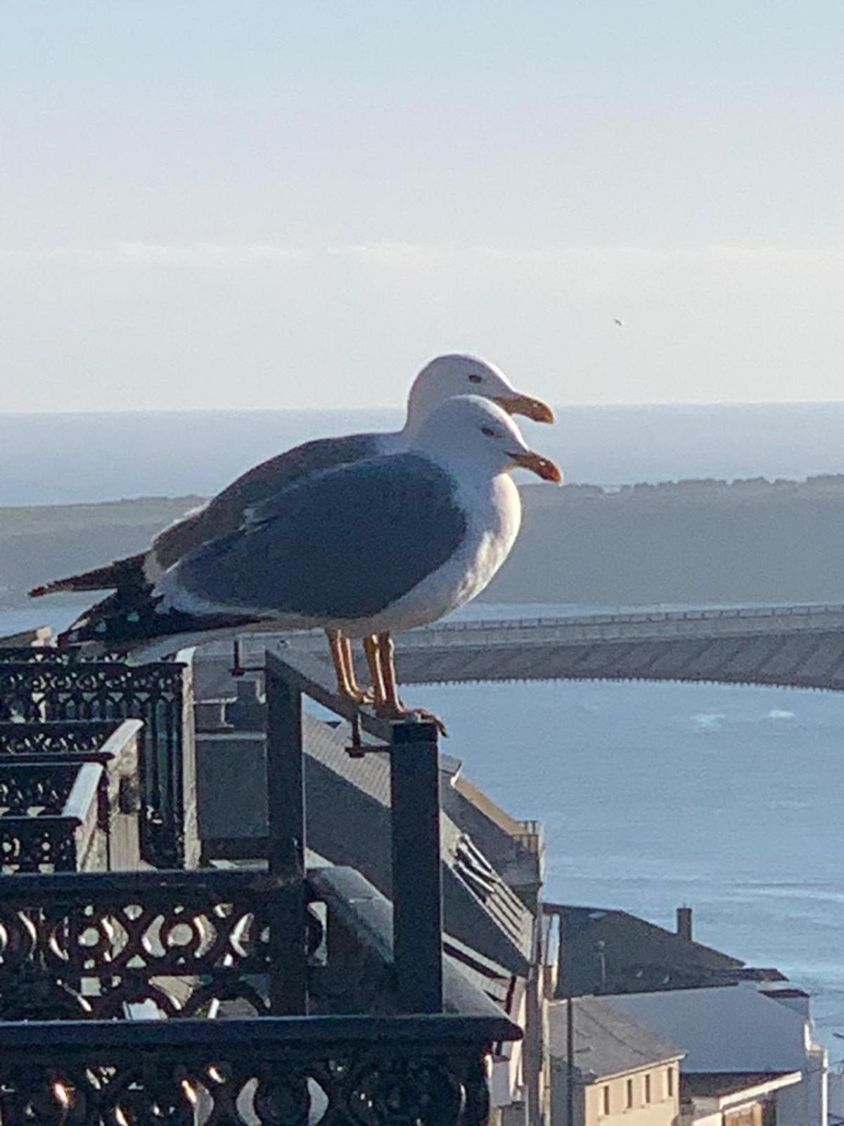 Moderno Piso Con La Mejor Terraza De Ribadeo Y Vistas Maravillosas Luaran gambar